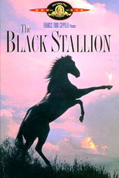 L'Étalon noir