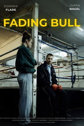 Fading Bull
