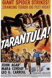 Tarantula !