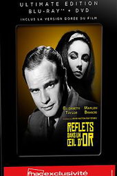 Reflets dans un Oeil d'Or