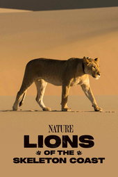 Reines de la côte des Squelettes