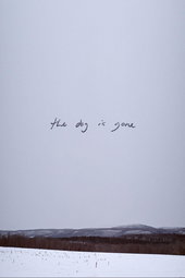 The Dog Is Gone