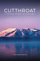 Yellowstone: A Cutthroat Business