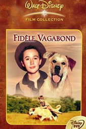 Fidèle Vagabond