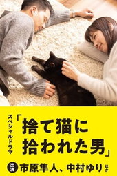 The Man Who Got Picked Up by a Stray Cat