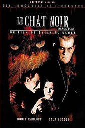 Le chat noir