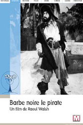 Barbe-Noire Le Pirate