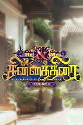 மிஸ்டர் அண்ட் மிசஸ் சின்னத்திரை
