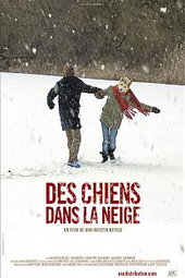 Des chiens dans la neige