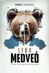Lebo medveď