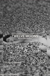 Twelve Moons
