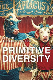 Primitive Diversity