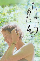 L'Illusion de Yakushima