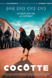 Cocotte
