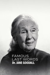 Un dernier mot : Docteure Jane Goodall