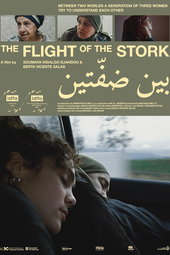 The Flight of the Stork