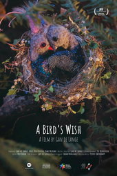 A Bird's Wish