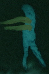 Final Obscura