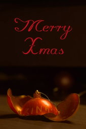 Merry Xmas