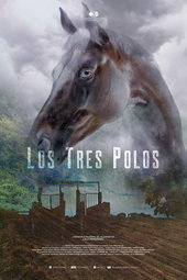 Los tres Polos