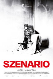 Scenario