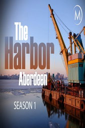 The Harbour