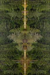 Mirrorpond
