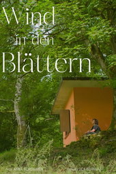 Wind in den Blättern