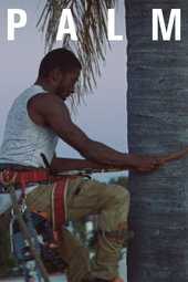 Palm