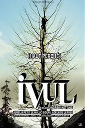 Ivul