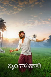 ಬೃಂದಾವಿಹಾರಿ
