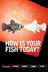 How is your fish today ?