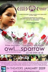 Owl and the Sparrow