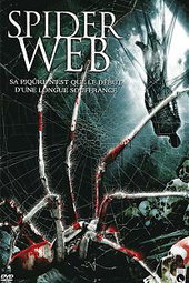 Spider Web