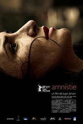 Amnistie
