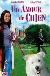 Un Amour de Chien