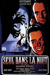 Seul dans la nuit