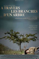 A travers les branches d'un arbre