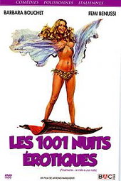 Les 1001 nuits érotiques