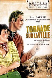 Tornade Sur La Ville