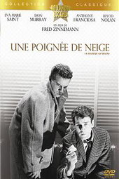 Une Poignée De Neige