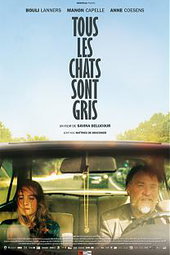 Tous les Chats sont Gris