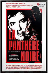 La Panthère noire