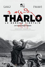 Tharlo, le Berger Tibétain