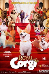 Royal Corgi