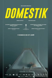 Domestique