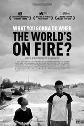 What You Gonna Do When the World's on Fire ?