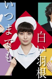 いつまでも白い羽根