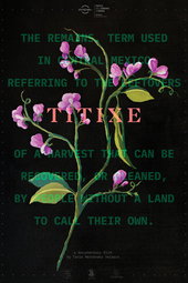Titixe