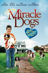 Pour l'amour d'un chien